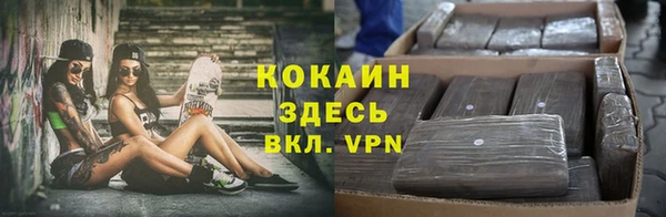 соль ск Алексин
