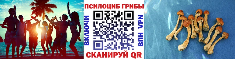 гидра   Истра  Псилоцибиновые грибы мухоморы  наркошоп 