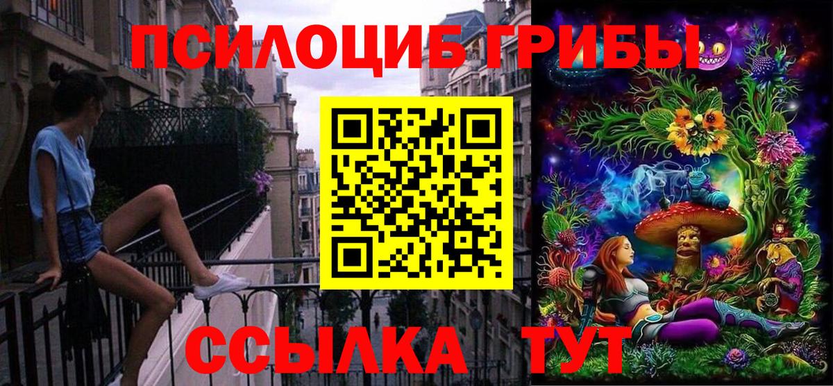 Псилоцибиновые грибы MAGIC MUSHROOMS Истра