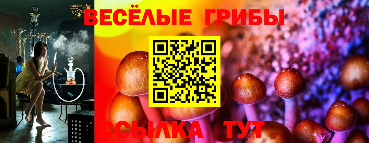 Истра  Галлюциногенные грибы Magic Shrooms  Вход с VPN 
