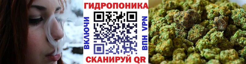 Бошки марихуана планчик как найти закладки Истра